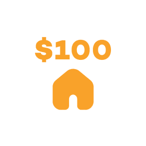 Sponsor a Kitten $100