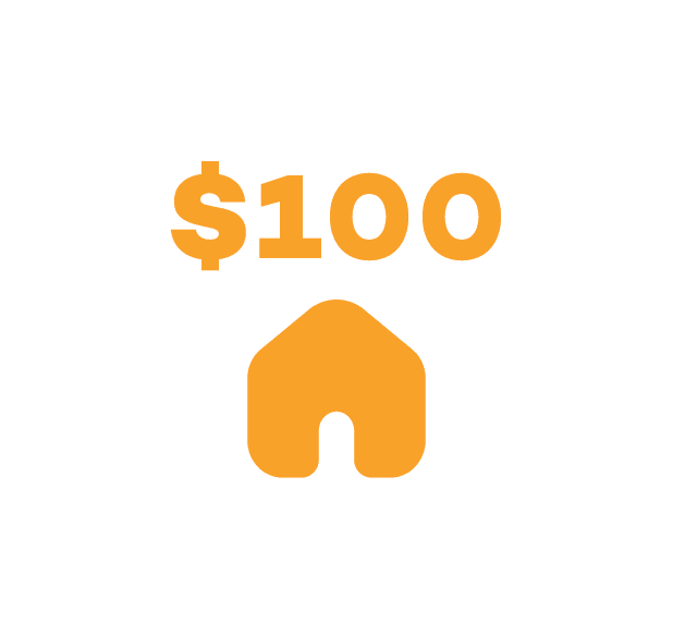 Sponsor a Kitten $100