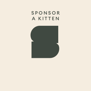 Sponsor a Kitten