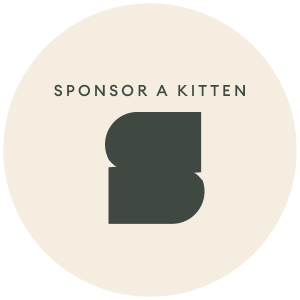 Sponsor a Kitten